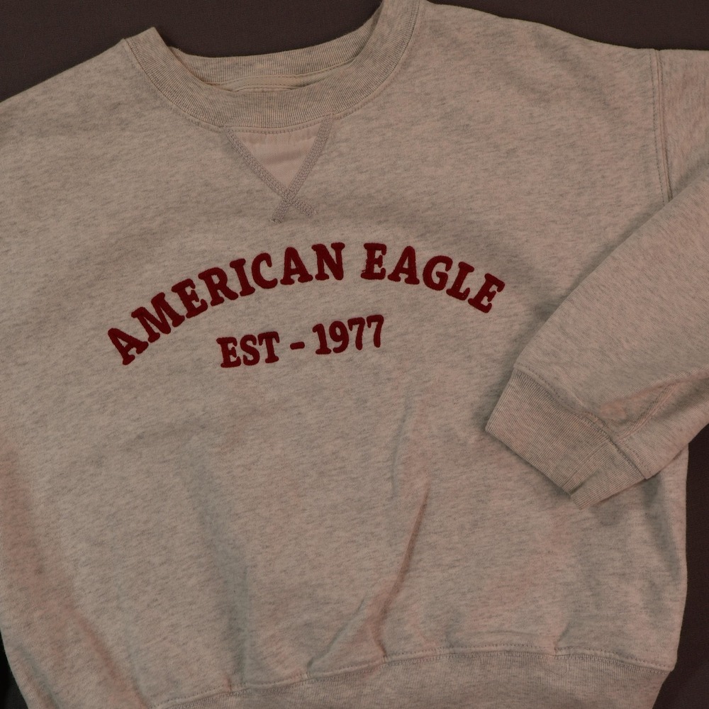 American Eagle Outfitters Sweater Womens XXS Gray EST 1977 Fleece Crewneck